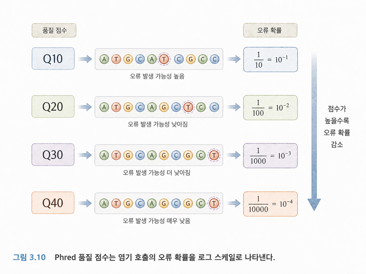 그림 3.10 Phred 품질 점수는 염기 호출의 오류 확률을 로그 스케일로 나타낸다.