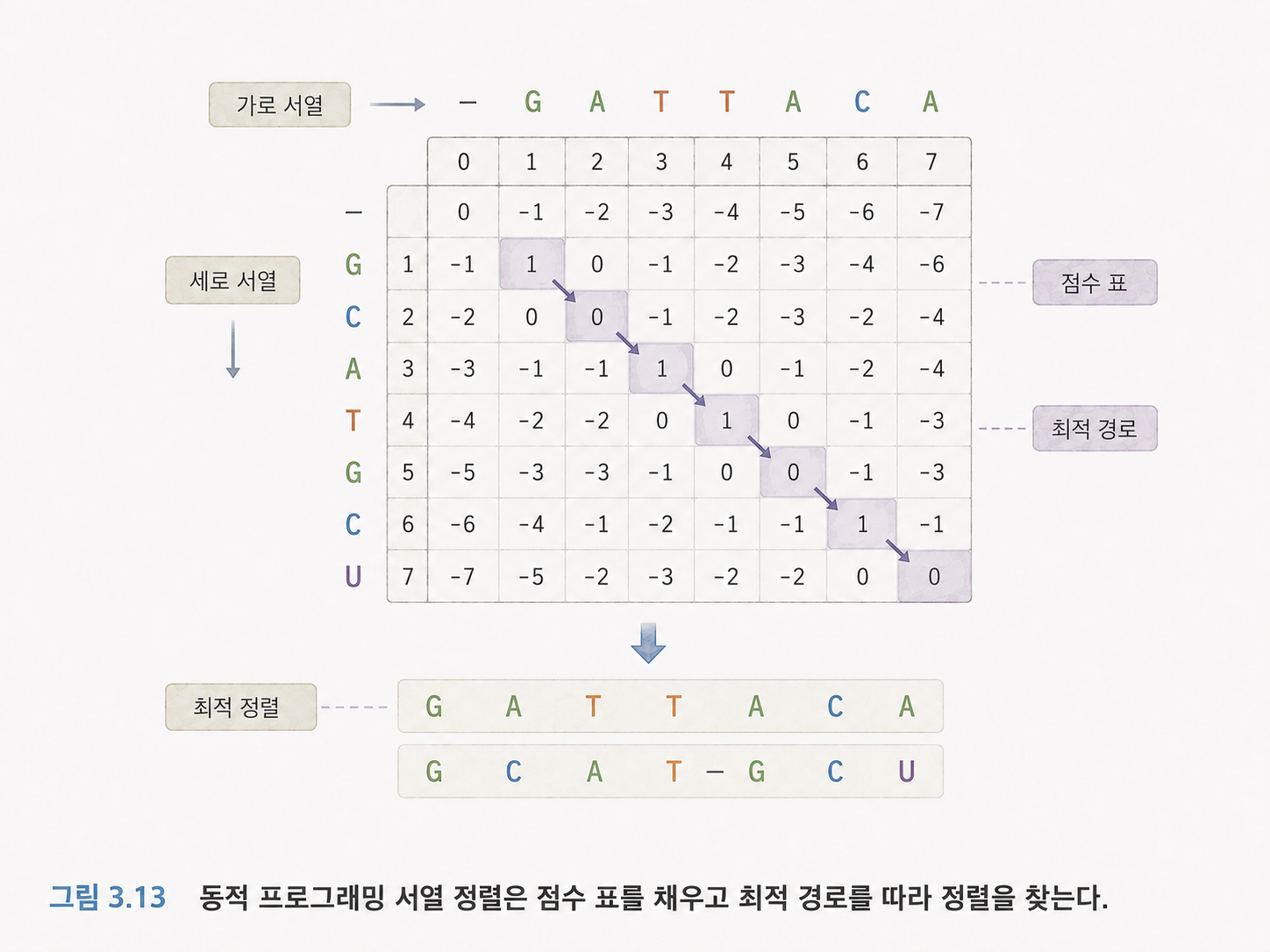 그림 3.13 동적 프로그래밍 서열 정렬은 점수 표를 채우고 최적 경로를 따라 정렬을 찾는다.