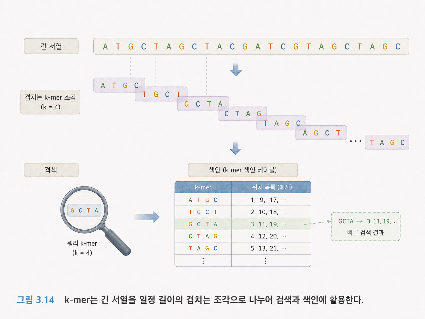 그림 3.14 k-mer는 긴 서열을 일정 길이의 겹치는 조각으로 나누어 검색과 색인에 활용한다.