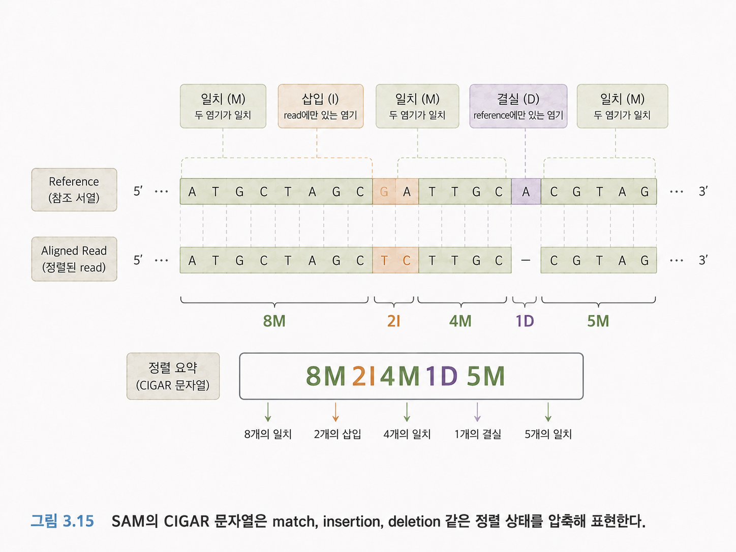 그림 3.15 SAM의 CIGAR 문자열은 match, insertion, deletion 같은 정렬 상태를 압축해 표현한다.