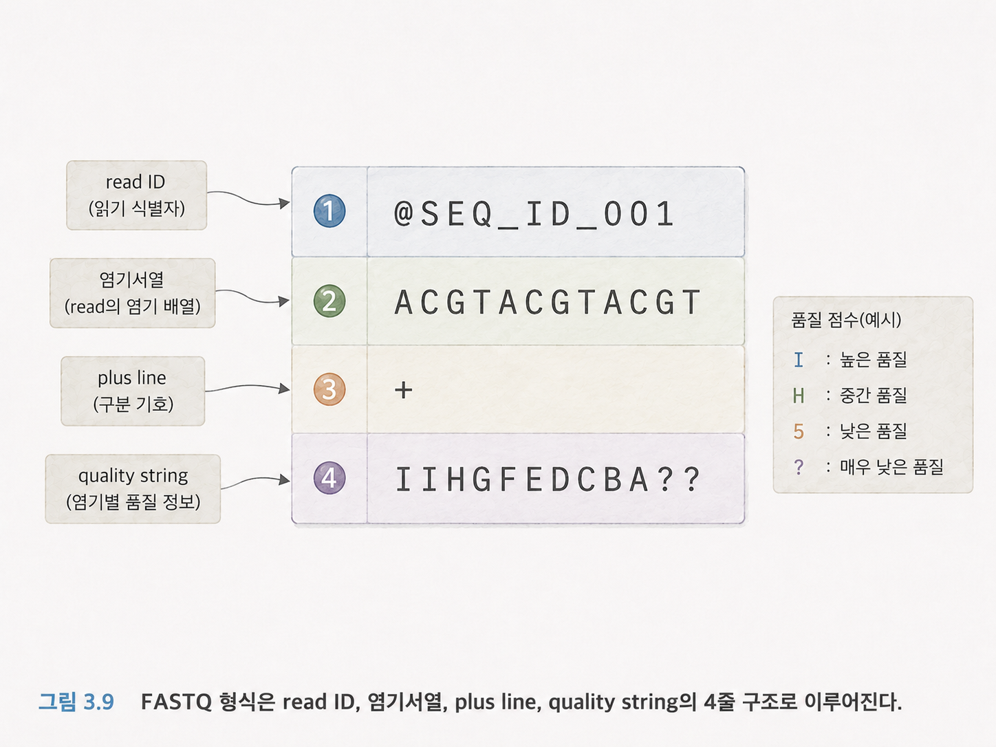 그림 3.9 FASTQ 형식은 read ID, 염기서열, plus line, quality string의 4줄 구조로 이루어진다.