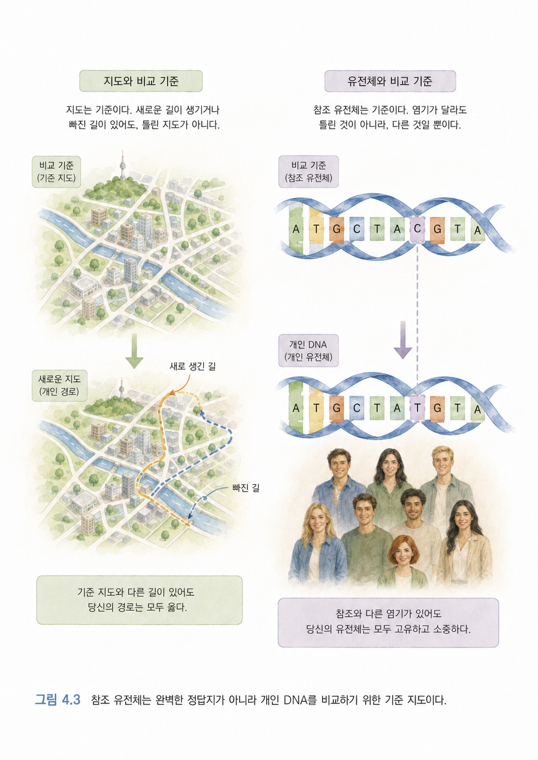 그림 4.3 참조 유전체는 완벽한 정답지가 아니라 개인 DNA를 비교하기 위한 기준 지도이다