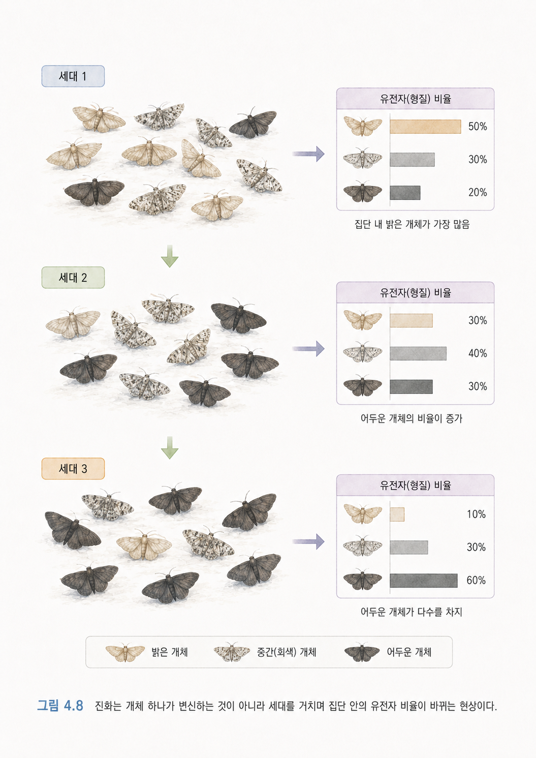그림 4.8 진화는 개체 하나가 변신하는 것이 아니라 세대를 거치며 집단 안의 유전자 비율이 바뀌는 현상이다.