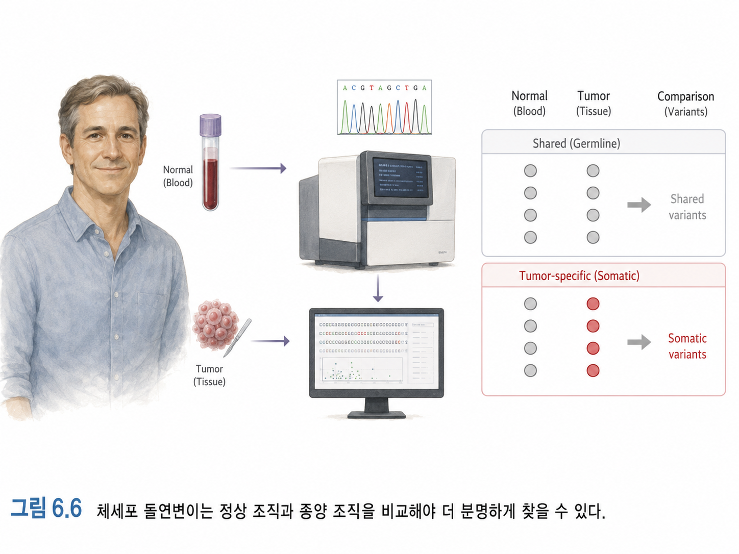 그림 6.6 체세포 돌연변이는 정상 조직과 종양 조직을 비교해야 더 분명하게 찾을 수 있다